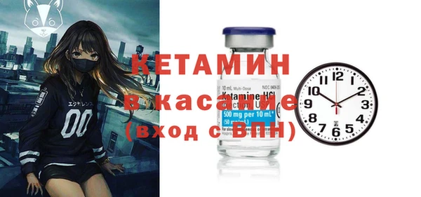сатива Заводоуковск