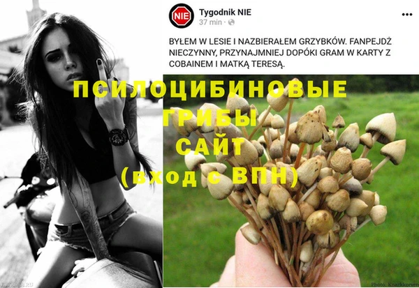 сатива Заводоуковск