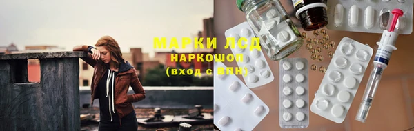 сатива Заводоуковск