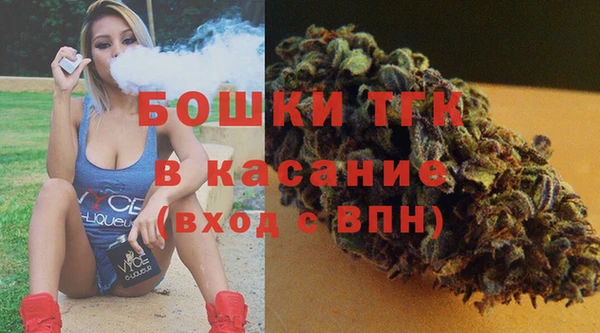 сатива Заводоуковск