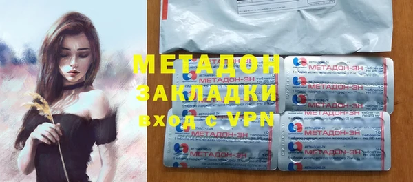 сатива Заводоуковск