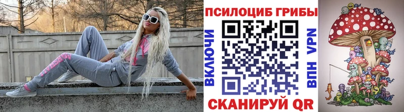 наркотики  Камышлов  МЕГА зеркало  Галлюциногенные грибы ЛСД 