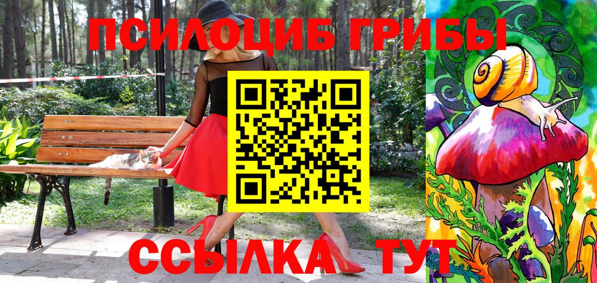 Галлюциногенные грибы Magic Shrooms  Вход с VPN  Галлюциногенные грибы Psilocybe  Камышлов 